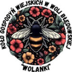 logo wolanki