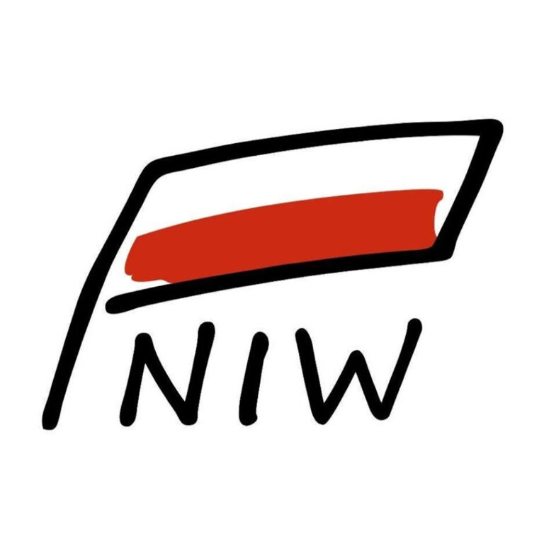 Fundusz Inicjatyw Międzynarodowego Roku Wolontariatu